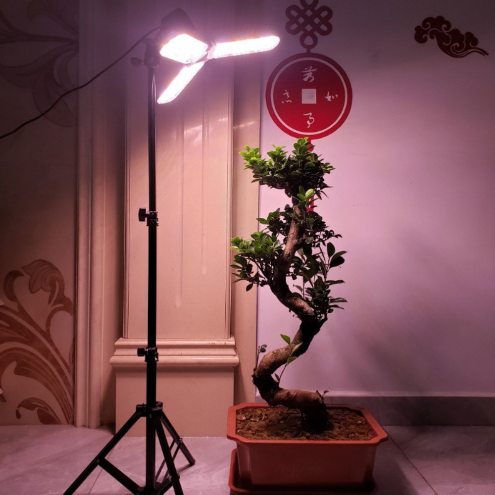Suporte de lâmpada 2m, soquete - Stand Lighting Photography avaliação e preço